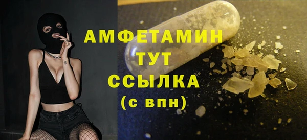 крисы Абаза