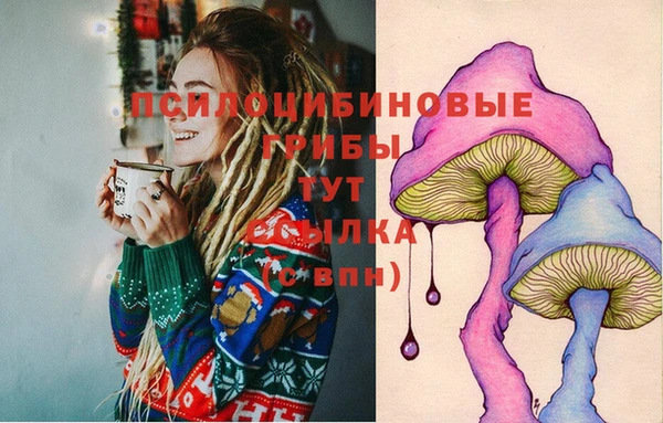 тгк Абдулино