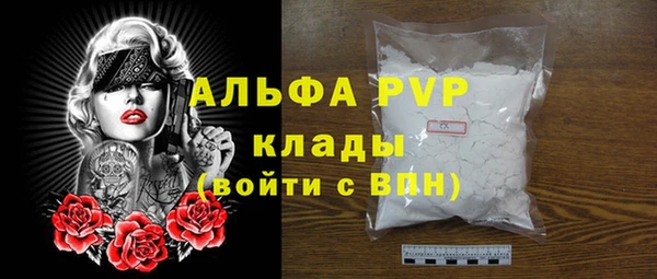крисы Абаза